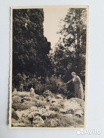 Германия 1930 - е 1940 - е годы