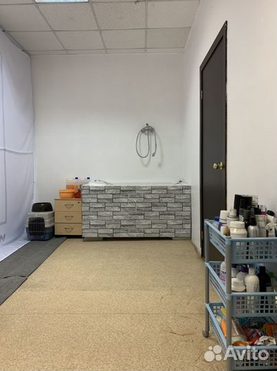 Дрессировка, груминг, подготовка к выставке