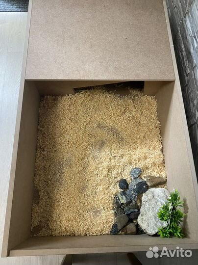 Вольер для рептилий и земноводных