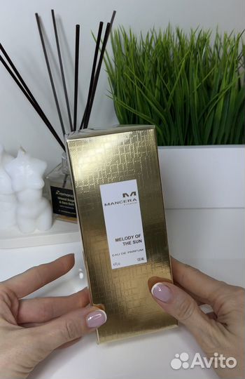 Mancera paris melody OF THE SUN