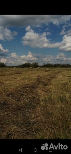 Сено в тюках