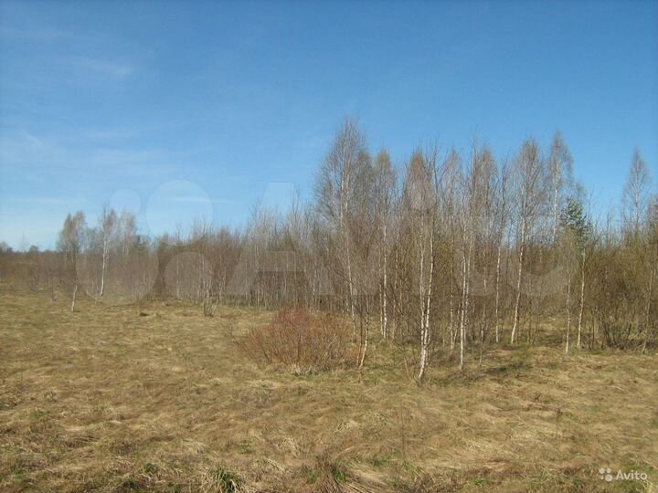 Участок 9,93 га (СНТ, ДНП)