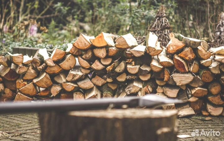 Дрова сухие