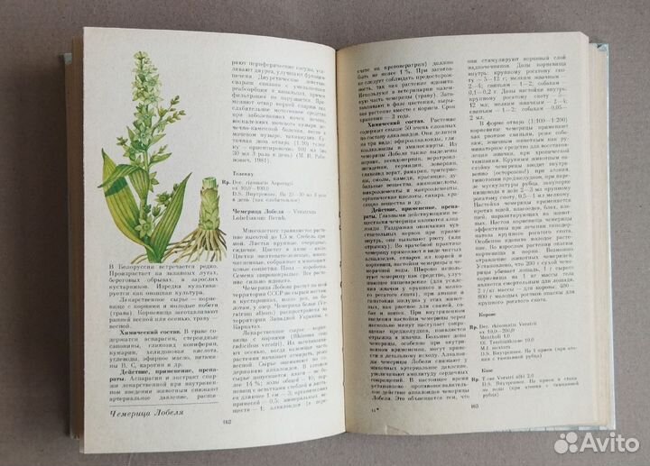 Зеленая аптека в ветеринарии Липницкий 1987