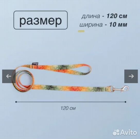 Амуниция для собак Rurri