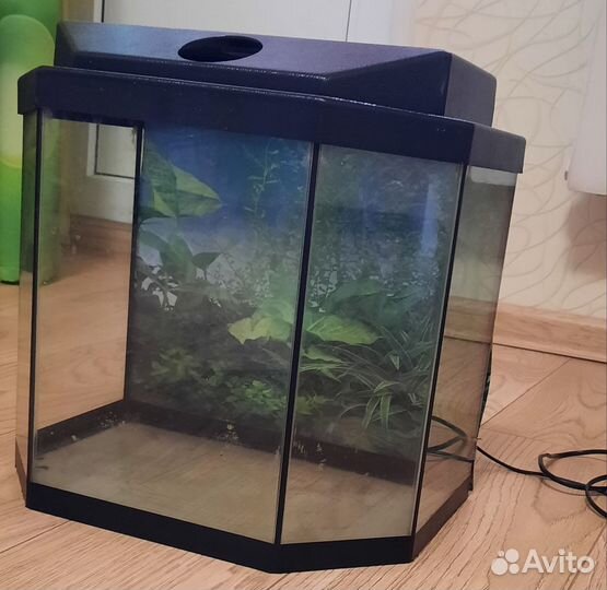 Аквариум