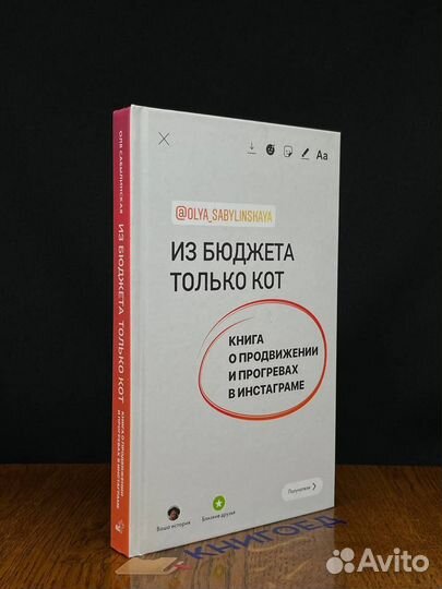 Из бюджета только кот