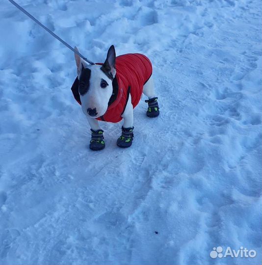 Зимняя жилетка для собаки