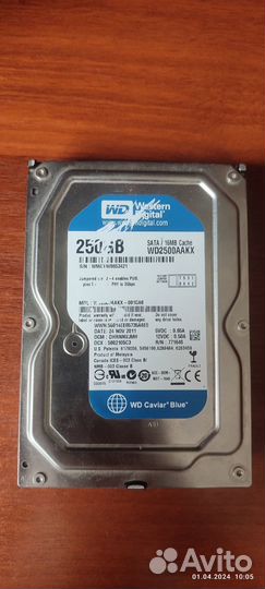 Жесткий диск SATA-3 250Gb WD Blue 7200rpm