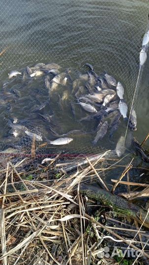 Рыбалка и отдых