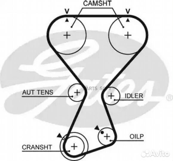 Gates T313 Ремень грм 175STP290NT Hyundai Santa Fe