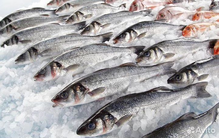 Франшиза: успешный старт бизнеса