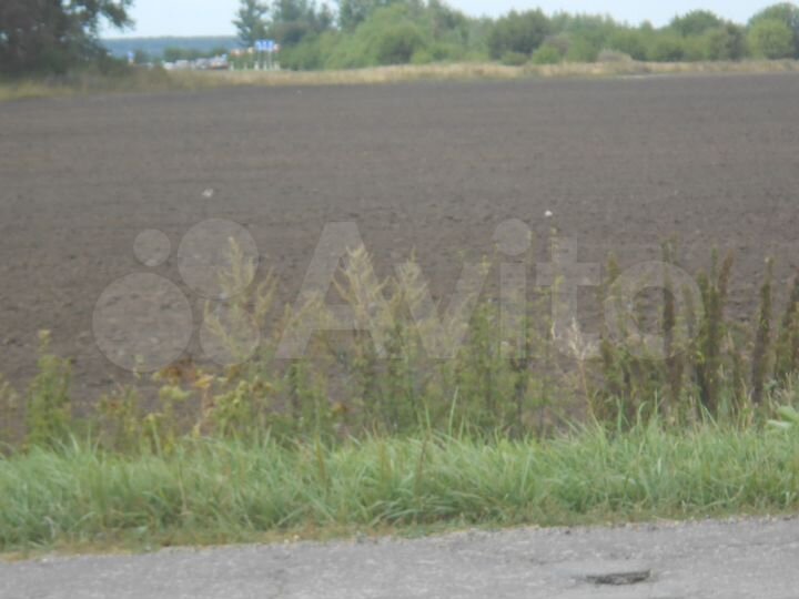 Участок 9,8 га (СНТ, ДНП)