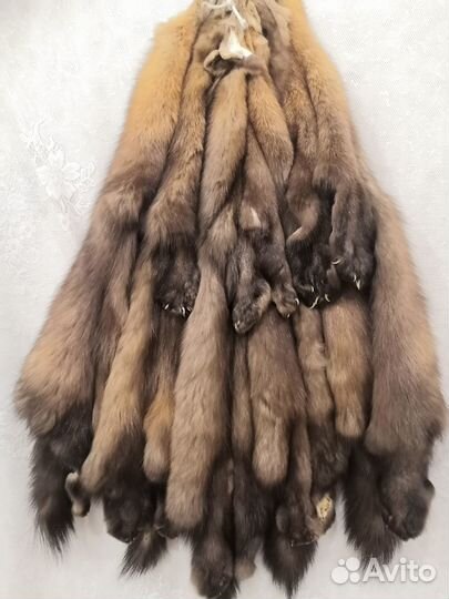 Шкурки соболя дикого сибирского 5 шт