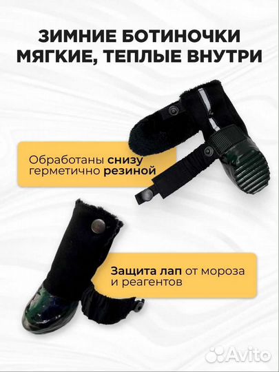 Зимняя обувь для маленькой собаки