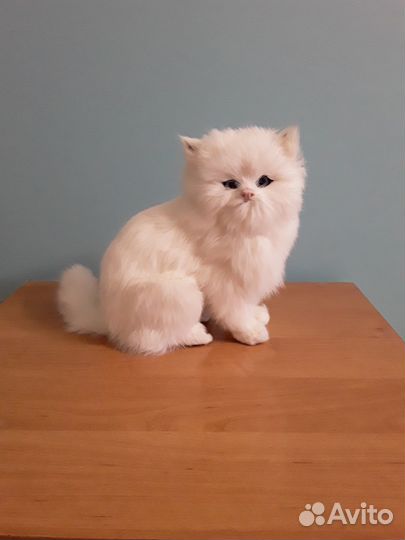 Кошечка сувенир