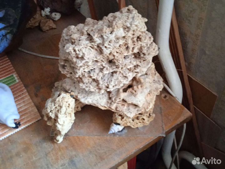 Гроты, коряги,цветы, аквариум