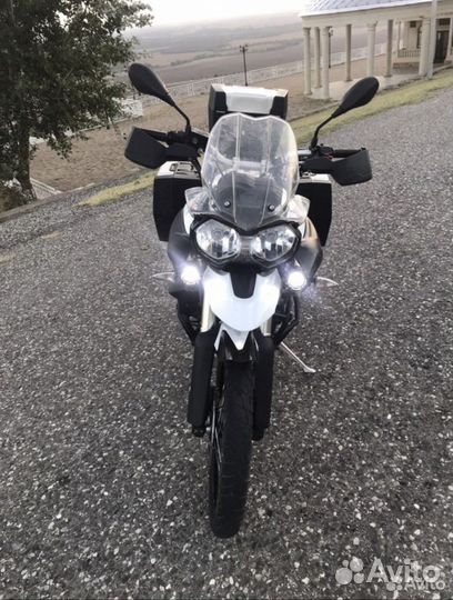 Triumph tiger 800 xc abs дилерский
