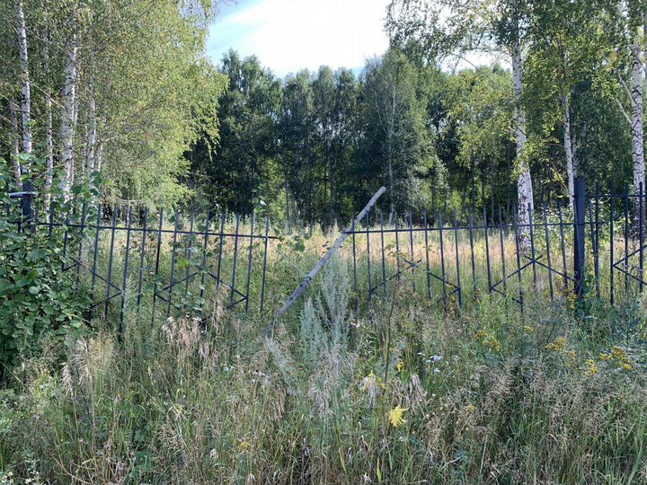 Участок 10 сот. (СНТ, ДНП)