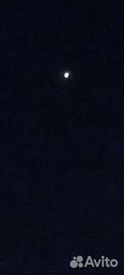 Кошка в дар