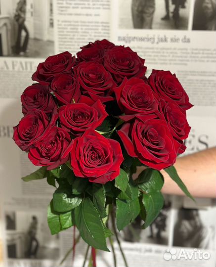 Розы красные эквадор