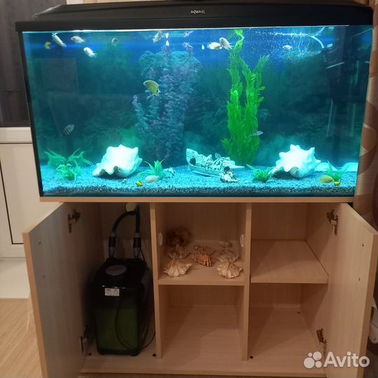 Аквариум с тумбой aquael