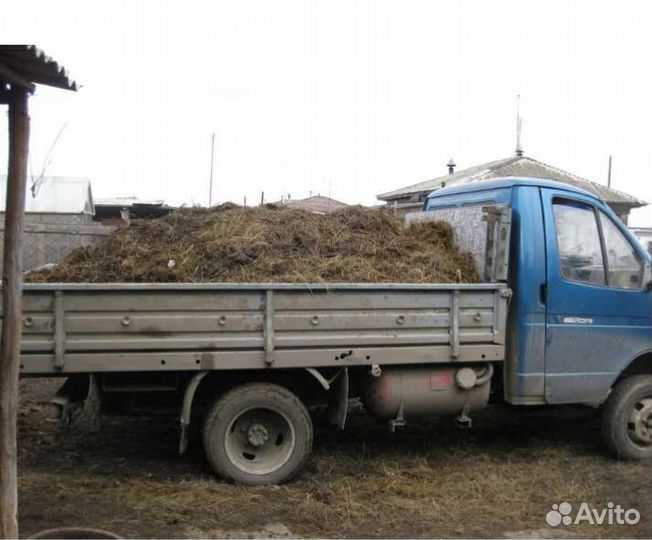 Перегной Конский в теплицу