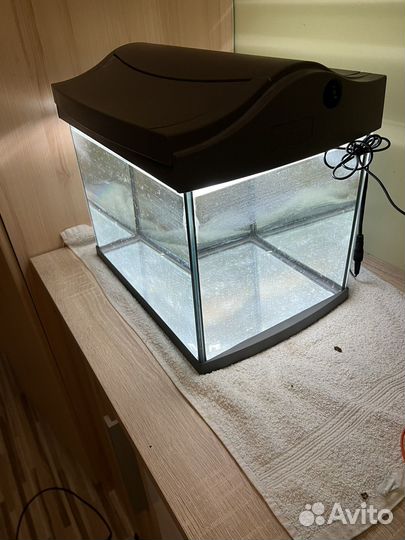 Аквариум