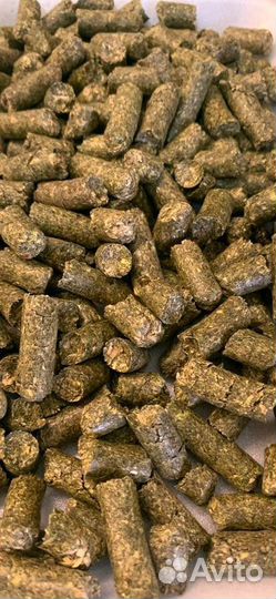 Клевер Люцена