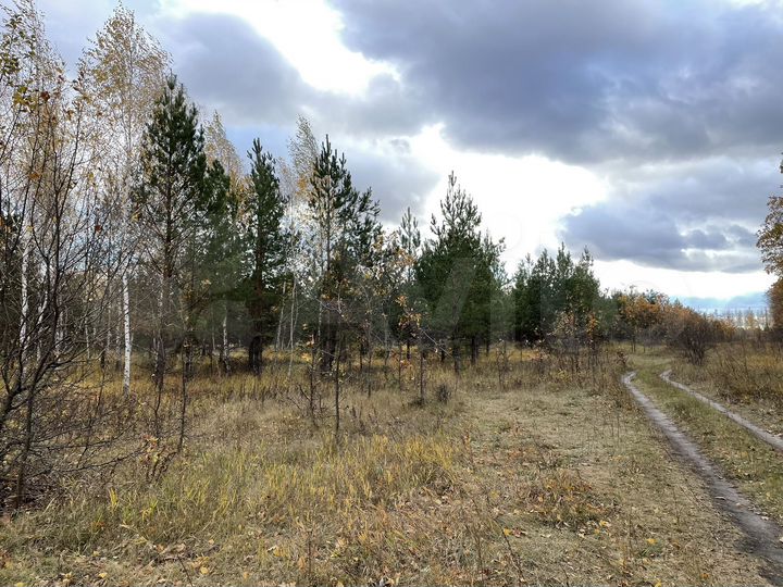 Участок 9,5 га (СНТ, ДНП)