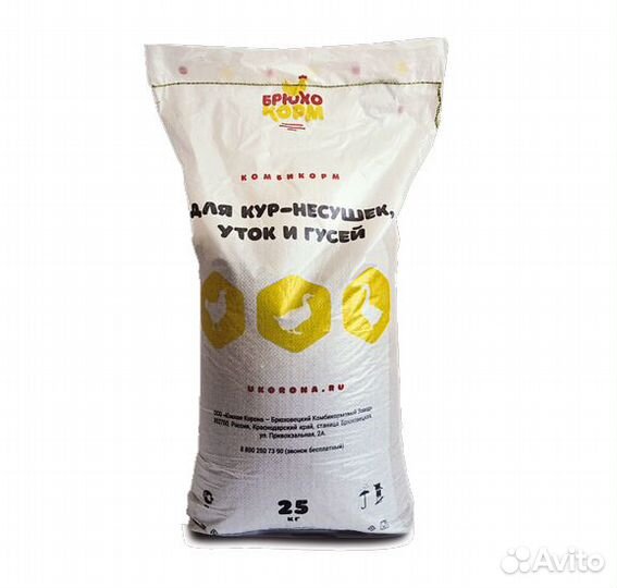 Комбикорм для кур Брюхо Южная Корона