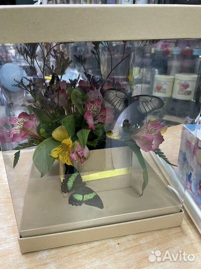 Букет с живой бабочкой