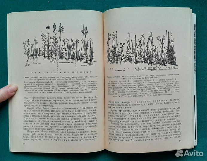 Богоявленский Г. и др. Идут любознательные. 1965