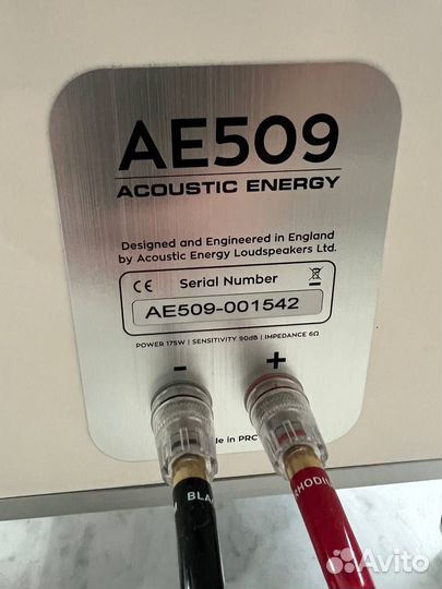 Колонки, акустика Acoustic Energy AE 509
