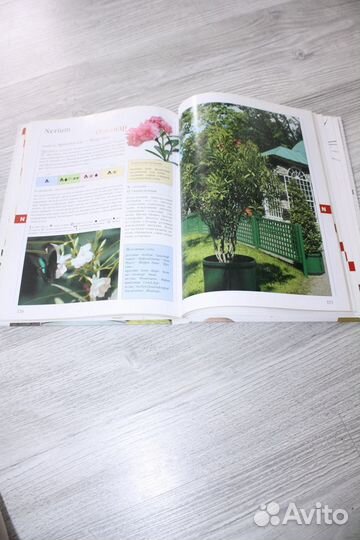 Книга. Библия комнатных растений