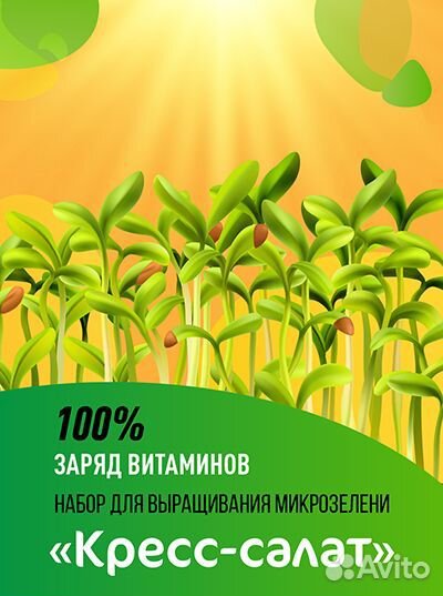 Набор для выращивания микрозелени 
