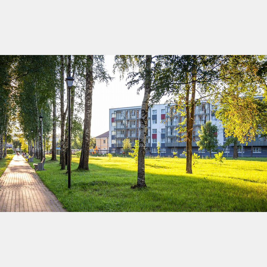 1-к. квартира, 50,4 м², 1/5 эт.