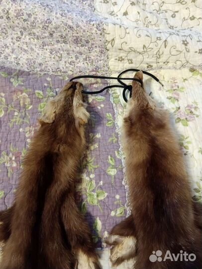 Шкуры соболя