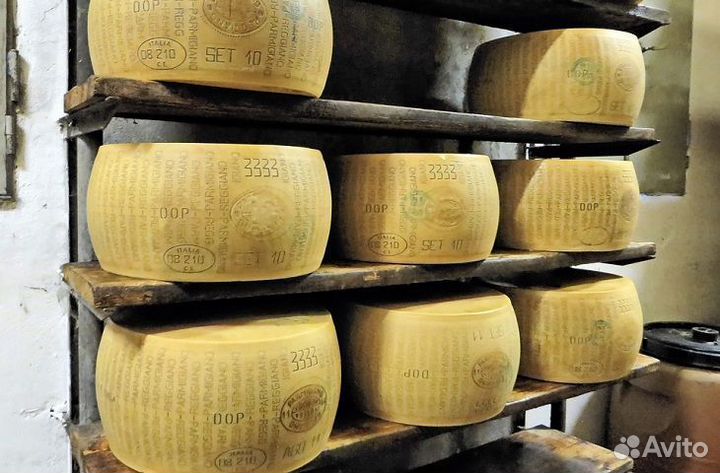 Сыр пармезан пармиджано голова