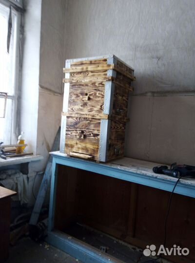 Улики 12 рамочные 2 корпуса на 300