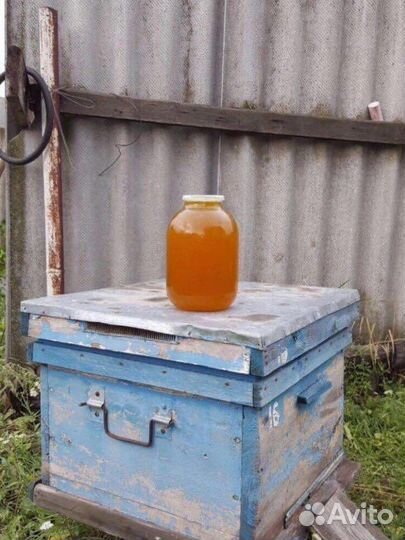 Мед. Мед с прополисом