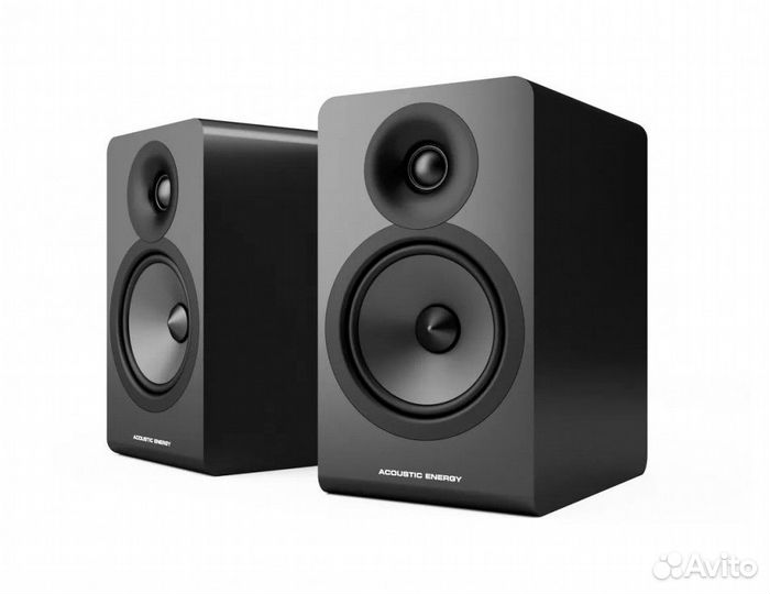 Acoustic energy AE100-2