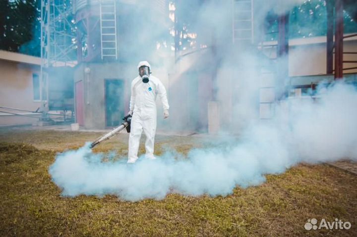 Уничтожение клопов тараканов блох клещей муравьев