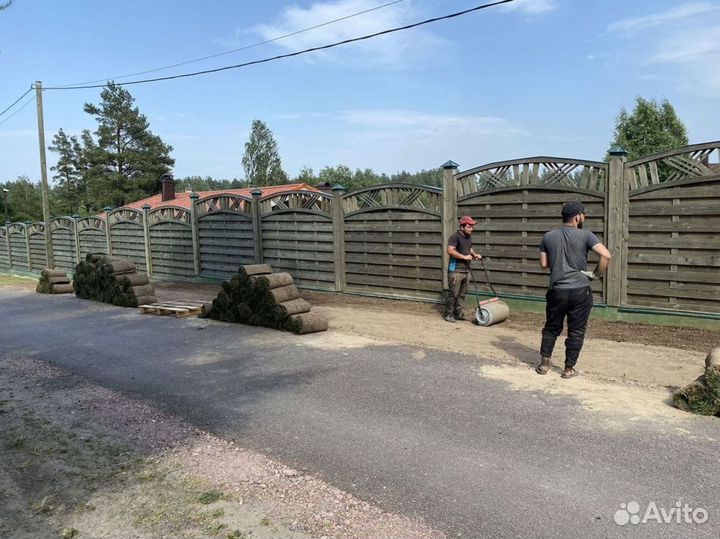 Рулонный газон