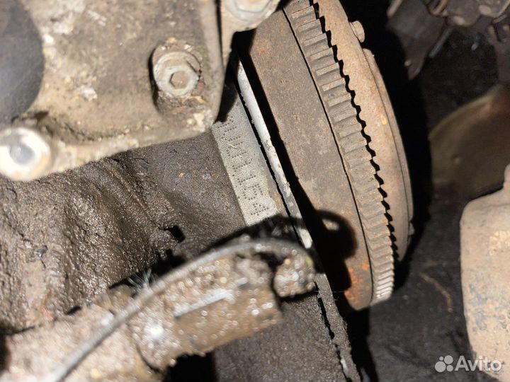 Skoda octavia тур двигатель 1.6л AUU