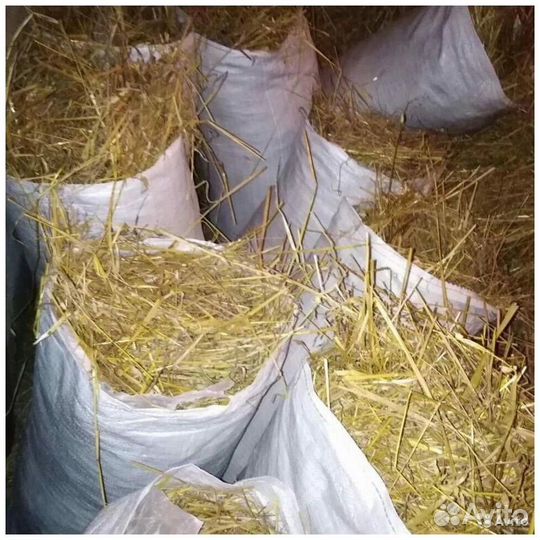 Солома, сено