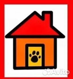 Передержка животных