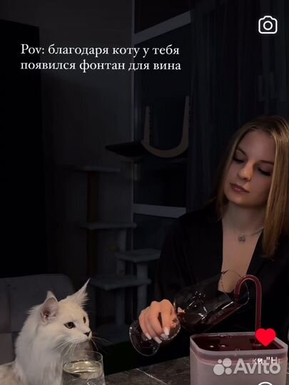 Автопоилка для кошек/или фонтан для вина, например