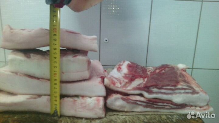 Сало опт продам