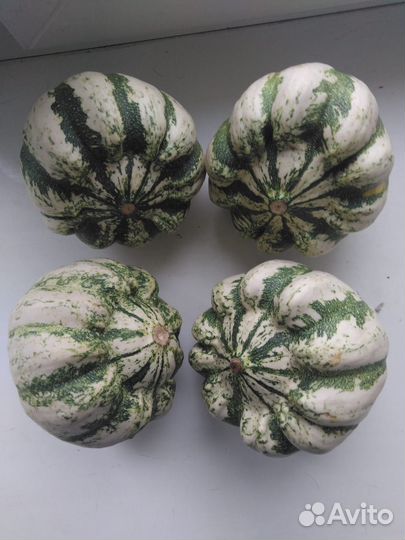 Тыква декоративная